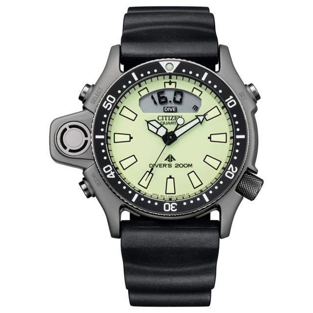 Citizen Aqualand I - CITIZEN